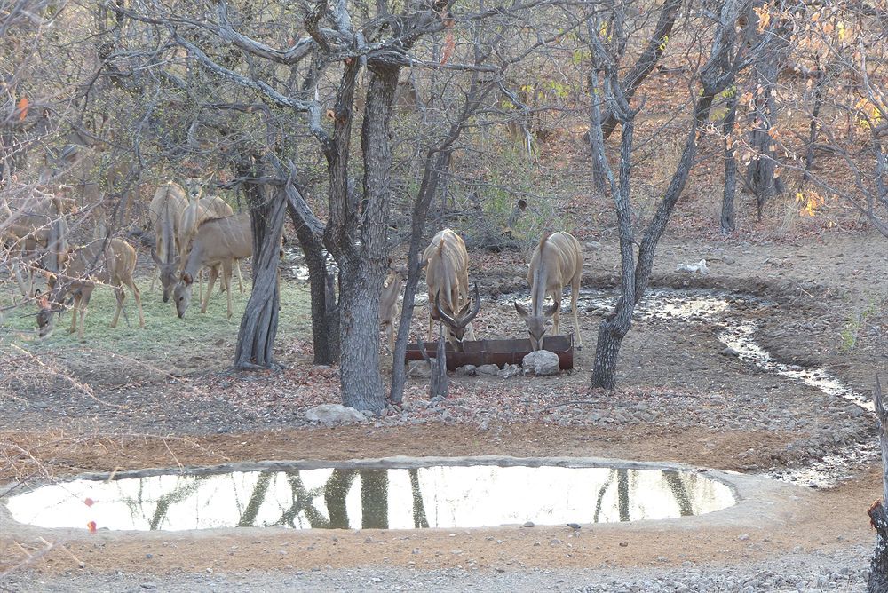 Uukwaluudhi Safari Lodge Opuwo Luaran gambar