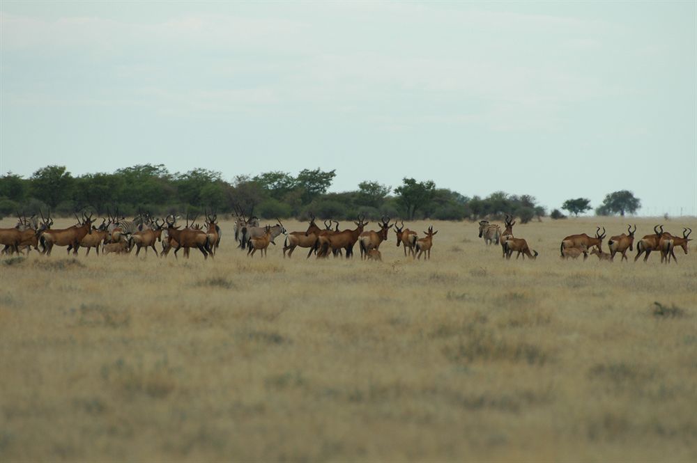 Uukwaluudhi Safari Lodge Opuwo Luaran gambar